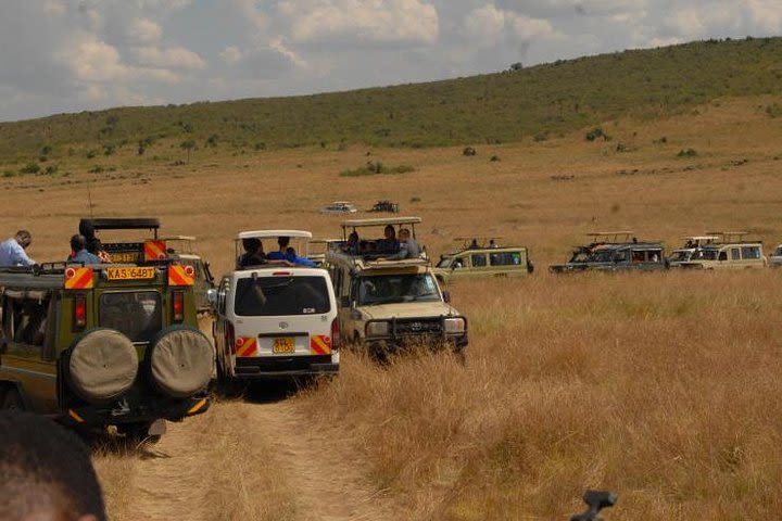 3 Days Masai Mara Lodge Private Safari Min 2 Pax image