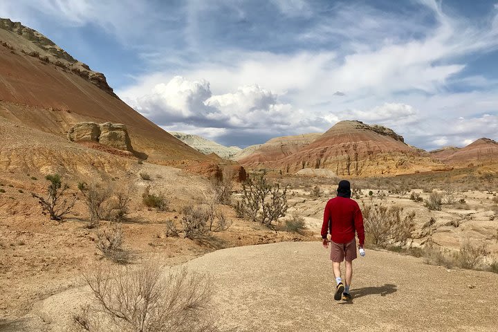 Altyn Emel National Park, Private tour, 2 days from Almaty image