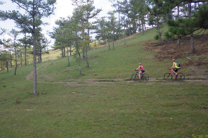 Bike On Dragon's Back In Dalat image