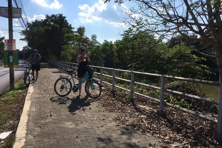 Chiang Mai Paradise Full-Day Cycling Adventure Tour image