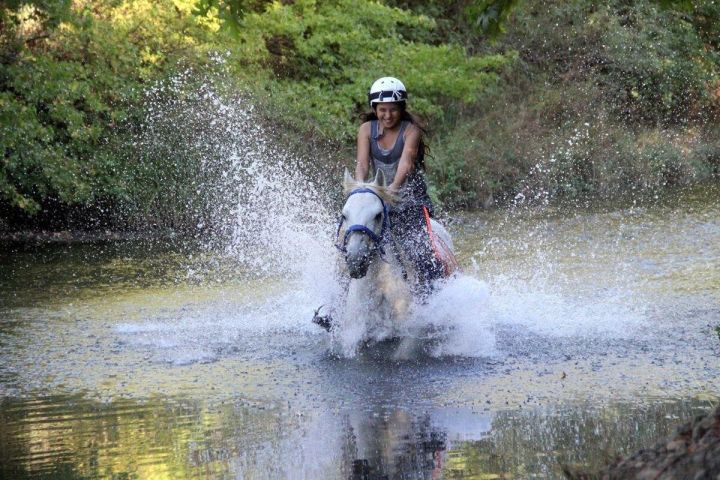 Fethiye Horseback Riding Adventure image