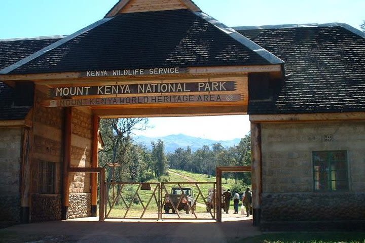 Day Tour To Mt. Kenya  image