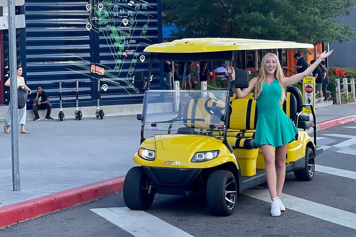 Tampa Bar Crawl on a 2023 Street Legal Golf Cart image