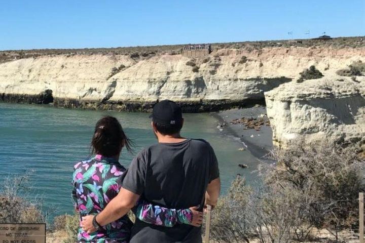 Puerto Madryn City Tour & Sea Lions image