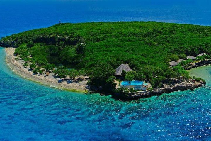 Oslob Whale Shark and Sumilon Day Tour image