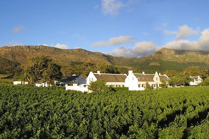 Cape Winelands Private Tour image