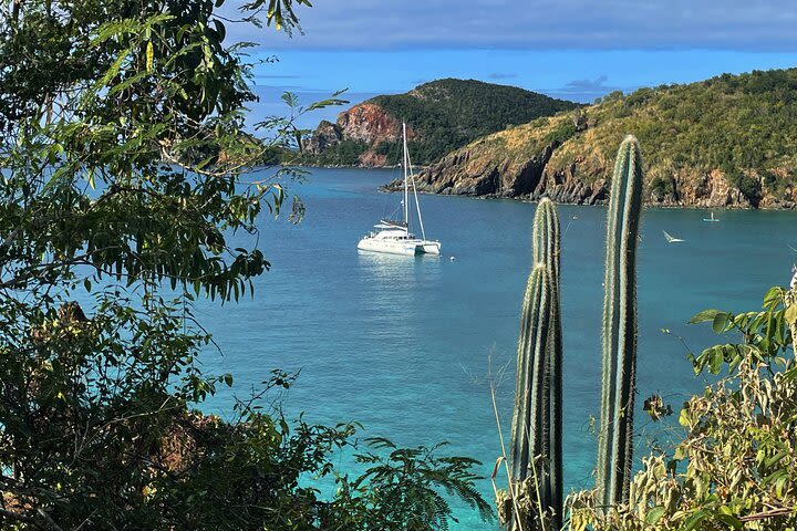 Janise Sailing and Snorkeling Day Charter image