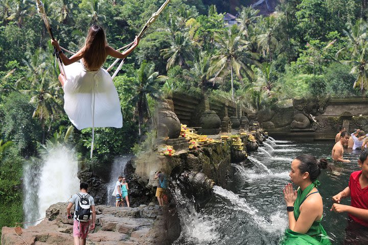 Full day Tour to Best of Ubud with jungle swing image