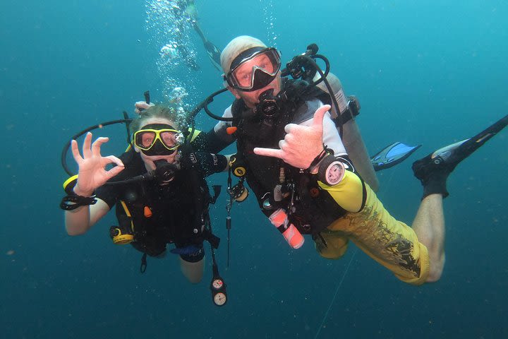 PADI Discover Scuba Dive in Koh Phangan (Beginners) image