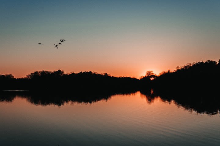 Fireflies Tour in Cherating image