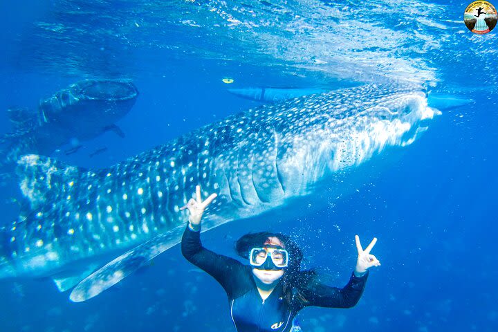 Oslob Whale Shark Snorkeling and Badian Canyoneering Adventure image