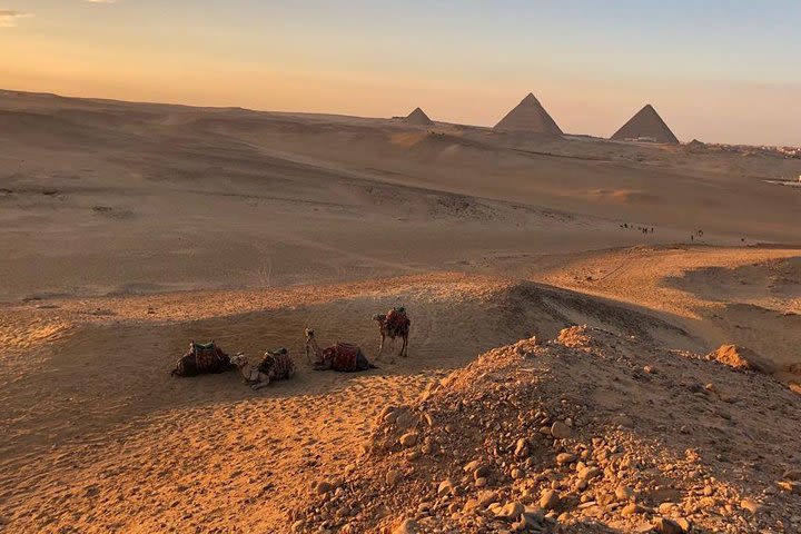 sunset at Giza pyramids by camels  image