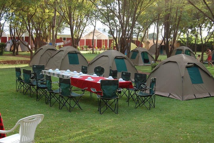 5Days Tanzania Camping Safari to Lake Manyara Serengeti And Ngorongoro Crater from Arusha image