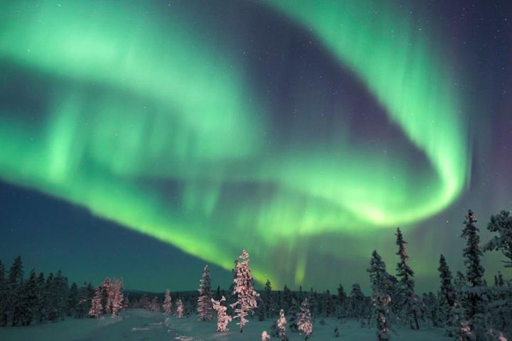 Northern Lights private tour image