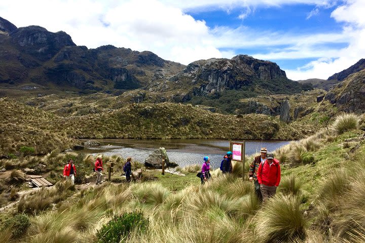 Full-Day Cajas National Park Tour with Small-Group image