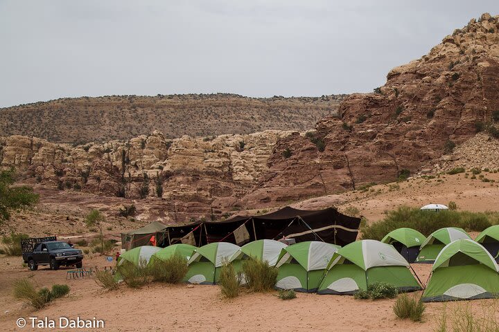 Dana to Petra Trek (Group) image