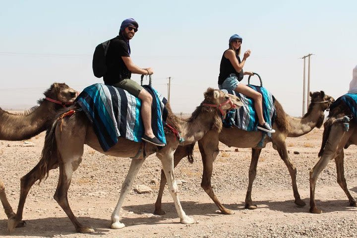 Camel ride Palmeraie Marrakech image