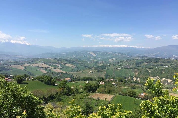 Marche wine day tour from Ascoli Piceno image