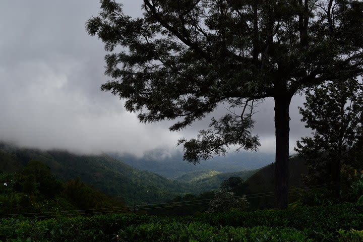 Nature Trekking Tour in Ella image