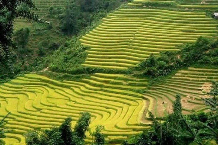 From Hanoi: 3-Day Sapa Trekking and Bus Tour image