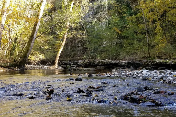 Guided 2 Mile Hike Through Kentucky Palisades and the Boone Creek Gorge image