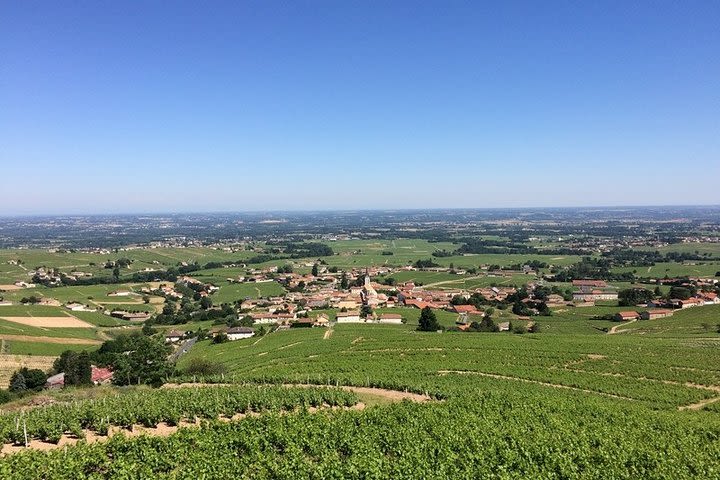 Beaujolais Wines & Castles - Private Tour - Half Day image