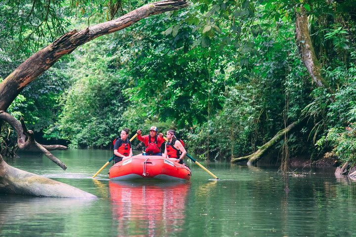 NEW! Jungle Safari Float on Sarapiqui River image