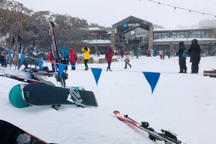 Mt Buller Snow Private Tour  image