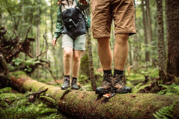 Hiking Tour At Cantareira State Park In Mid Rainforest: Optional Airport Pick-up image