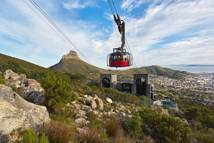 Small Group: Cape Peninsula & Table Mountain Full Day Tour. image