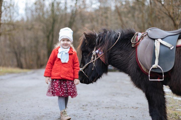 40 min of horse riding in Lviv city near the stable territory image