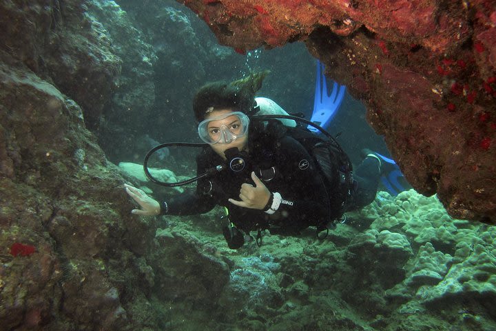 Introductory Boat Scuba Dive - 2 Tank image