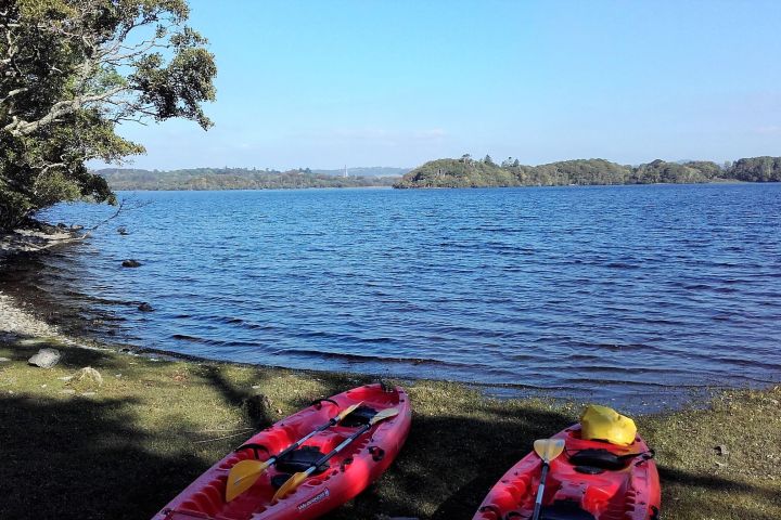 Kayak to Innisfallen island. Killarney. Guided. 2½ hours. image