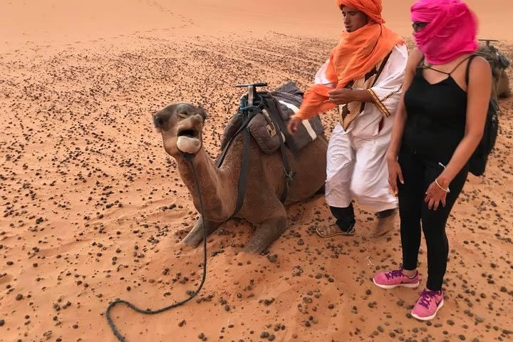 Weekend excursion from Casablanca to the desert image