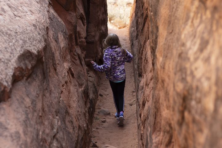 Arches National Park Full Day Tour image