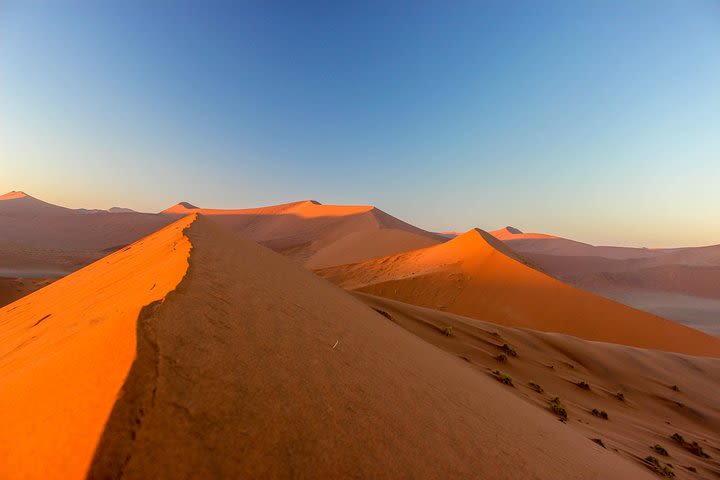 11 Days Namibia Experience Accommodated Tour image