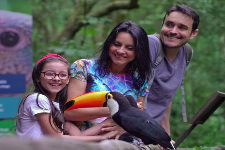 Iguazu Falls & Bird Park Tour image