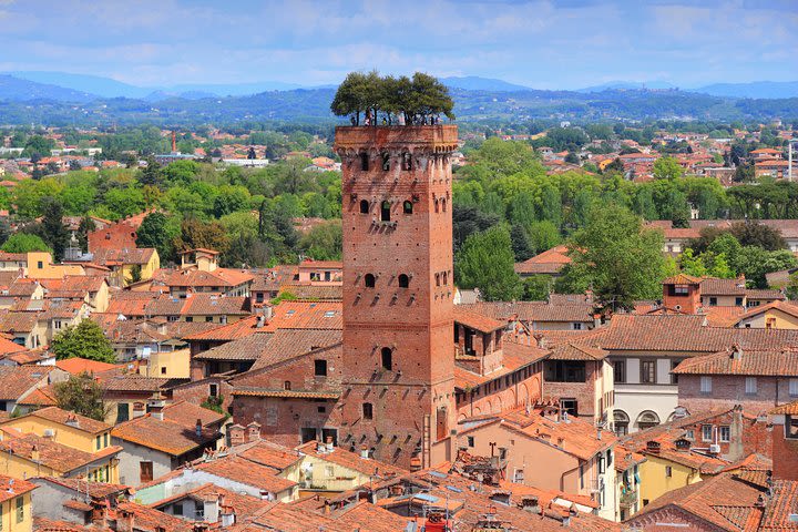 Shore Excursion from Livorno Port: Private Full day Tour Florence and Lucca  image