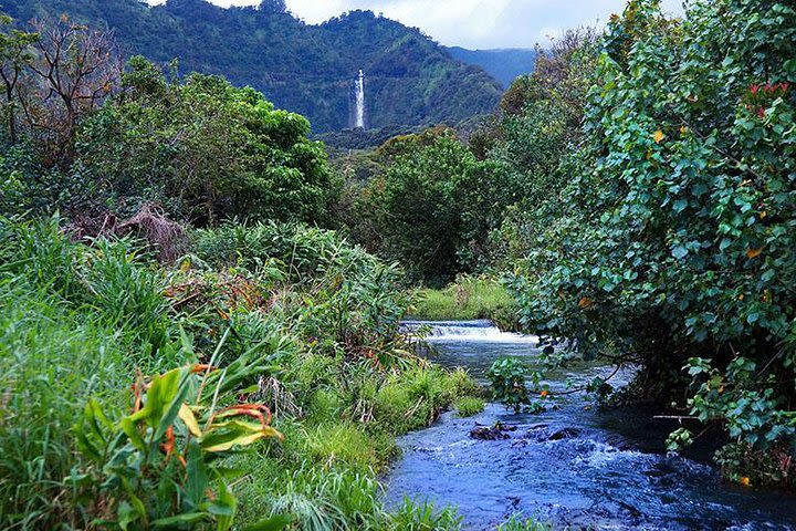 Hana Rainforest Helicopter Flight with Landing from Maui image