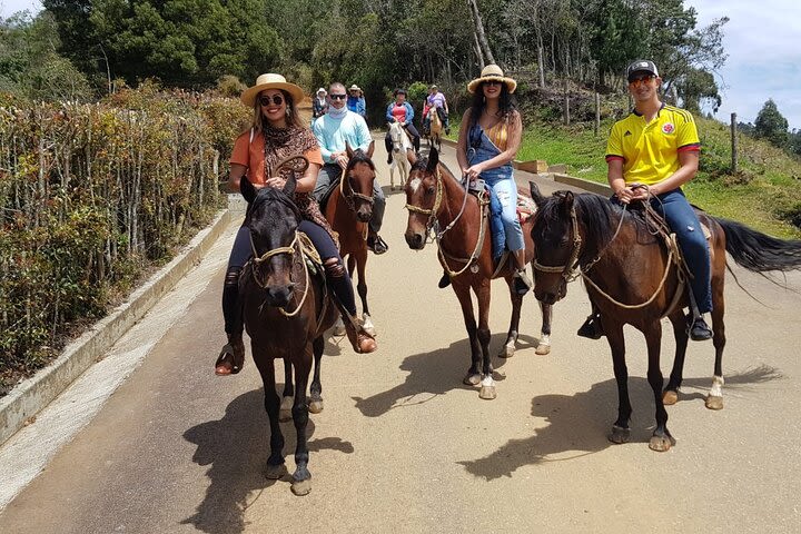 Santa Elena - Rionegro horse-back riding tour near Medellín image