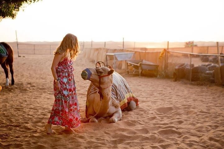 Morning Desert Safari With 20-Minutes Camel Ride image