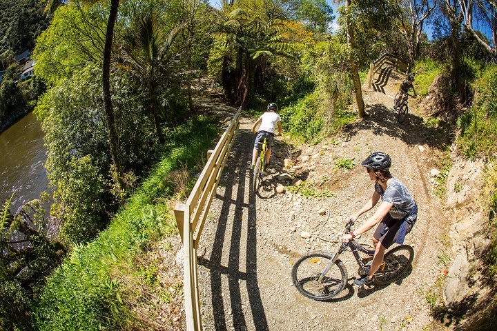 Remutaka Rail Trail Reversi Cycle Tour image