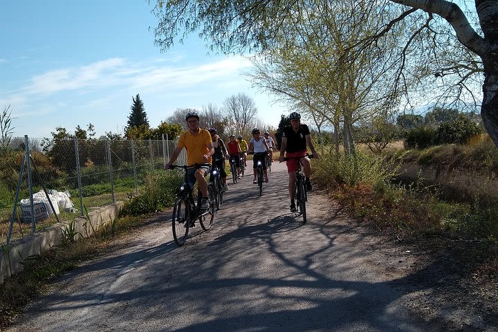 Orchards of Murcia bike tour, feel fragrancys, colors and sounds of the orchards image