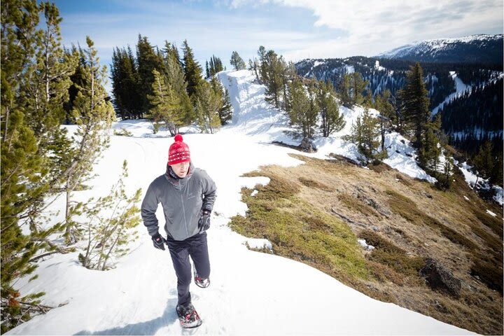 Okanagan Mountain Top Snowshoe Adventure image