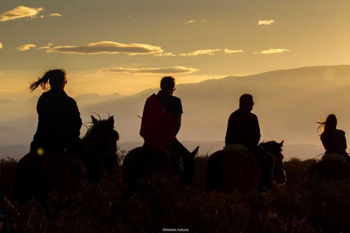 Mendocino Sunset Horseback Riding Tour image