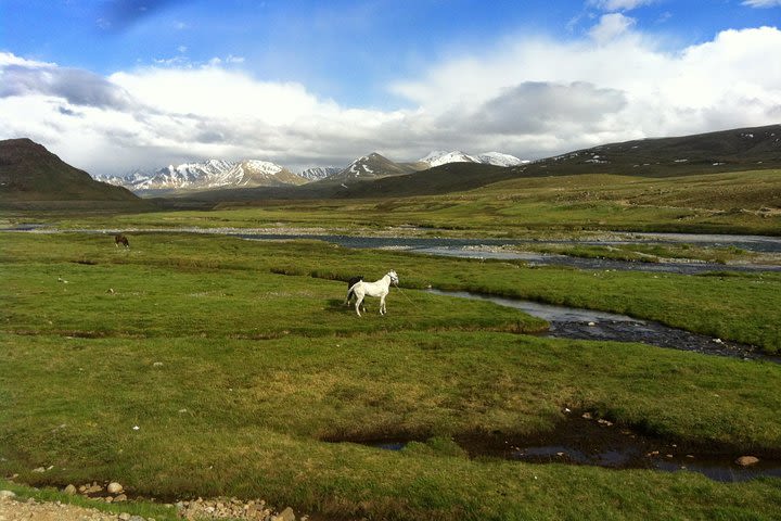 9 Days Tour to Skardu, Deosai, Rama meadows From May to October image