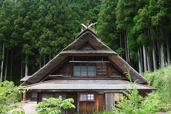 Mt Fuji and lakeside views easy bike tour with visit to traditional arts village image