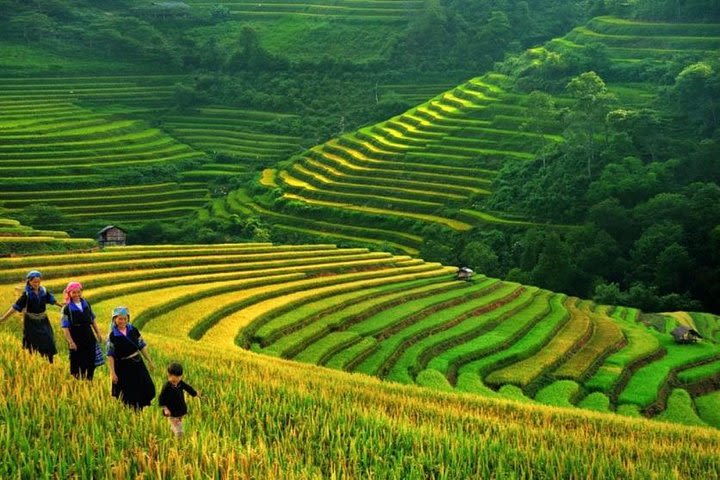 2-Day Spectacular Sapa Trekking and Bus Tour (overnight at 4 star hotel) image