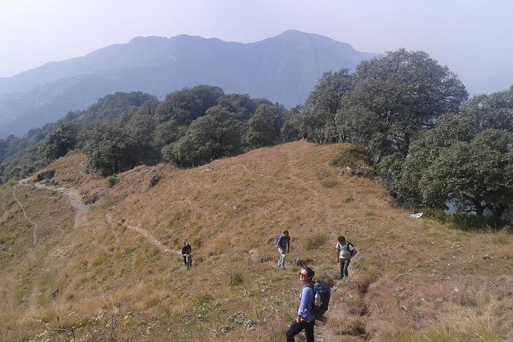 Trek to Benog Tibba image