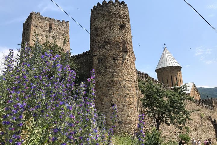 Kazbegi Day Trip image